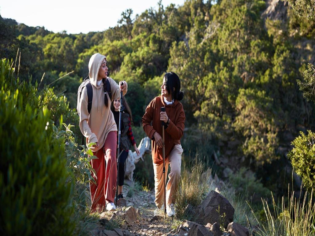 Discover the Centuries Trail: A Historic Hike in Jabal Al-Soudah - Small Group Tour