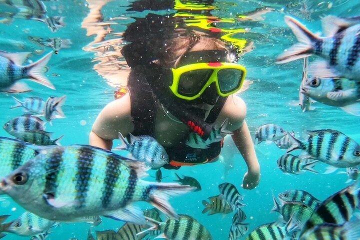 Daily Snorkeling Boat Trip in Jeddah
