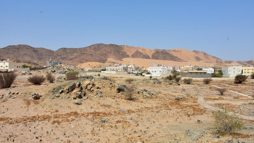 Badr - Full-Day Tour with lunch