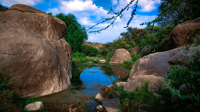 Discover Taif City: Premium GMC Experience