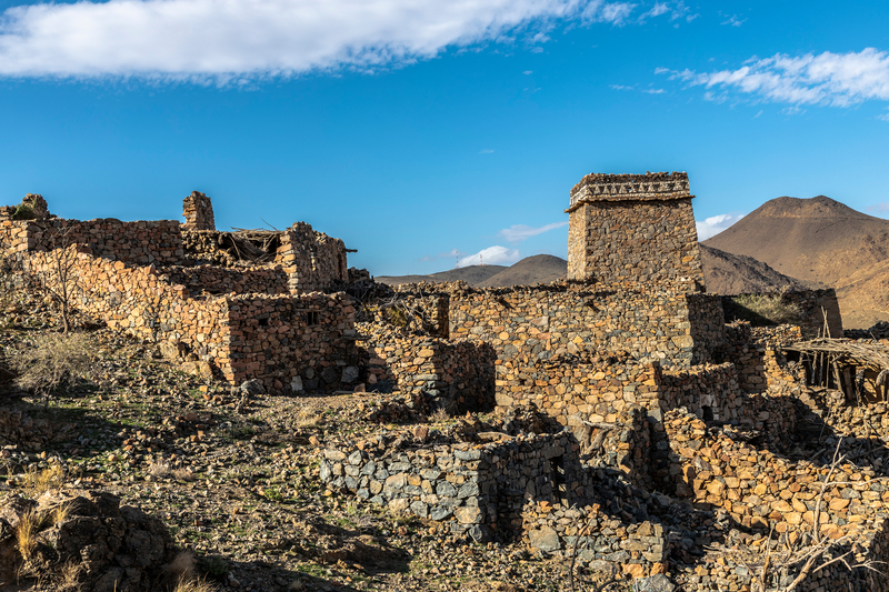 Discover Taif City Tour
