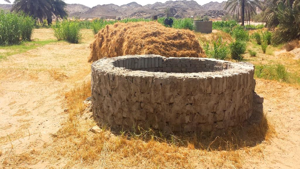 Badr - Full-Day Tour with lunch